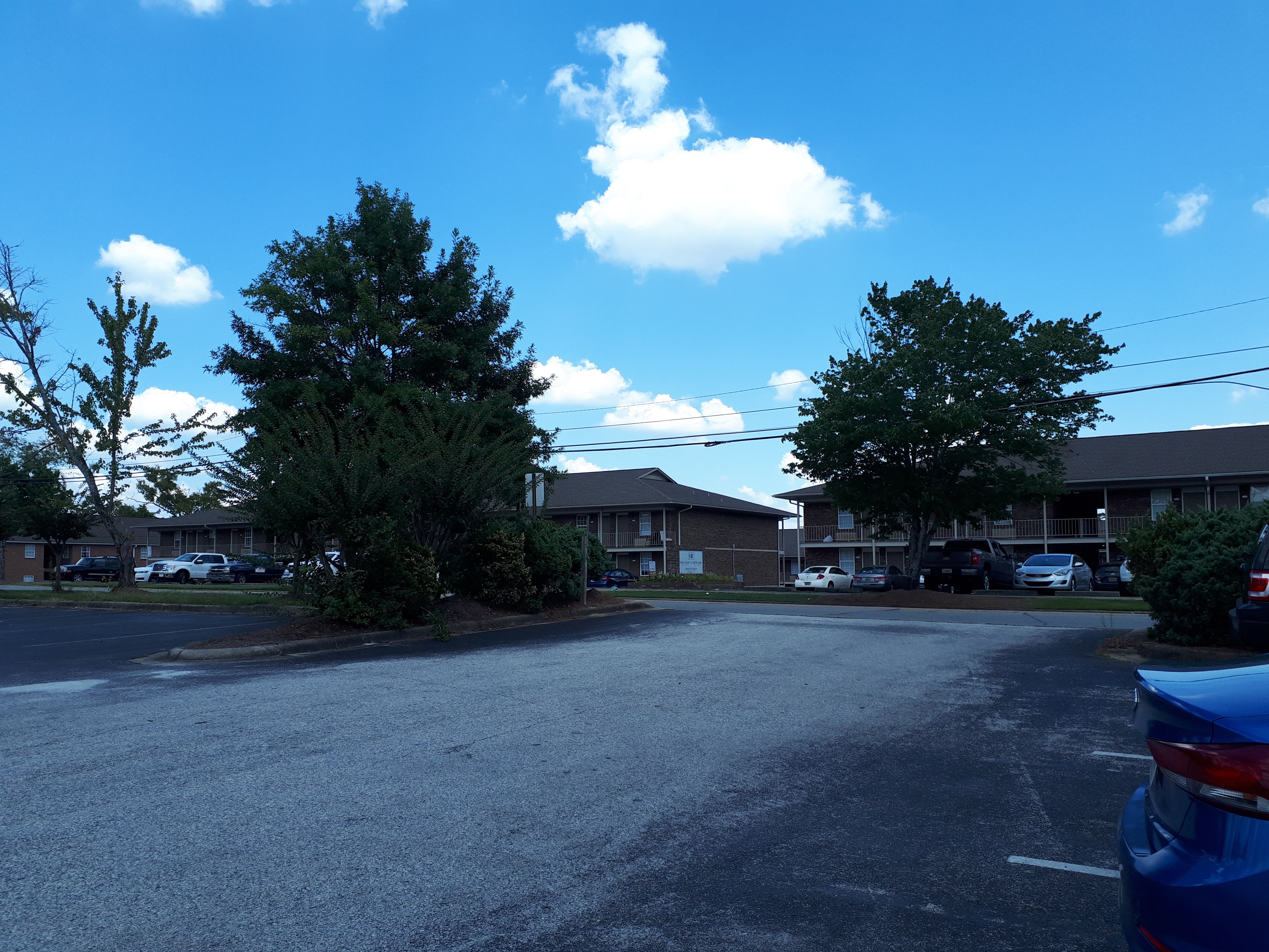A sunny day in Alabama